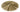 Formula 602 Medium — 20-inches
