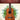 Christmas Songs with Three Chords