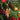 Even More Christmas Creations — 10 Seasonal Piano Favorites