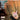 Start a Band