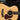 Hal Leonard Fingerpicking Guitar Method — Includes Audio & Video!