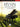 The Essential Hymn Anthology — The Best of the Phillip Keveren Series