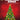Favorite Christmas Songs for Five-Finger Piano