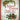 Romantic Christmas Suite - Volume 1 — Piano Solo