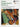 Violin Fingerboard Mastery — Contemporary Mapping Exercises and Improvisation Studies