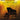 Magnificent Overtures — 9 Motivational Piano Solos NFMC 2024-2028 Selection
