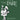 Pare Stop — Recital Series, Book IV, Duets