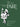 Pare Stop — Recital Series, Book IV, Duets