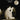 Fly Me to the Moon — (In Other Words)