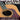 The Mechanics of Acoustic Guitar