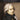 Concerto No. 1 in G Major, K. 313 — Music Minus One Flute