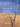 Andr� Hajdu - Jewish Rhapsody (Truat Melekh)