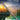 Flute Songs - Easy Familiar Classics with Orchestra — Music Minus One Flute