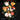 Haydn - Violoncello Concerto in C Major, HobVIIb:1 — Music Minus One Cello