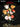 Haydn - Violoncello Concerto in C Major, HobVIIb:1 — Music Minus One Cello