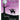 Night Rider — Early Intermediate Level
