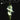 Solos for the Sanctuary - Hymns — 7 Piano Solos for the Church Pianist NFMC 2024-2028 Selection Mid to Later Intermediate Level