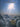 Favorite Hymns
