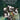 Irish Tin Whistle Legends