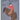Bucking Bronco