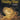 Wedding Music