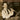 The Benny Goodman Collection — 29 Big Band Arrangements Specially Transcribed & Adapted for Piano Solo