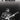 Wilco Guitar Collection