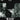 Nirvana - Bleach