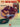 Guitar Basics — Private Lessons Series