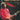 The Guitar Style of Mark Knopfler