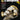 FastTrack E-flat Saxophone 1
