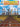 Fretboard Roadmaps - Country Guitar — The Essential Guitar Patterns That All the Pros Know and Use