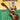 Jumpin' Jim's Gone Hawaiian — Ukulele Solo