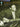The Best of Charlie Christian — A Step-by-Step Breakdown of the Styles and Techniques of the Father of Modern Jazz Guitar