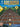 Fretboard Roadmaps for the Beginning Guitarist — The Essential Guitar Patterns That All the Pros Know and Use