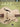Jazz Guitar Chords