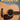 Acoustic Guitar Chords — Learn the Essential Chords You Need to Start Playing Acoustic Guitar Now!