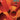 Matteo Carcassi - 25 Melodic and Progressive Studies, Op. 60