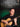 Classical Guitar Chops — Essential Licks & Exercises to Maximize Your Technique