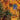Trans-Siberian Orchestra - The Christmas Attic