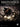 Disturbed - Asylum