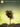 Chris Tomlin - See the Morning