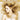 Taylor Swift - Fearless