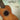 Worship Songs for Ukulele