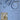 The Complete Ave Maria — Voice, Piano and Organ