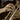 Big Book of Trumpet Songs