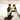 Wedding Violin Solos