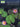 Reflections & Relaxations — 2024-2028 NFMC Selection Composer Showcase Intermediate Level