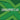 Mixcraft 10 Recording Studio Academic Edition