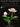Solos for the Sanctuary - Preludes and Postludes